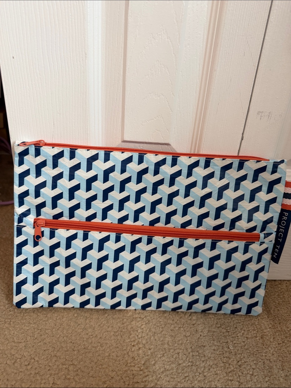 Project Ten needlepoint project bag